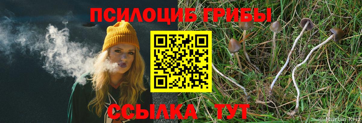 Галлюциногенные грибы Psilocybe  Вход с VPN  Кулебаки 