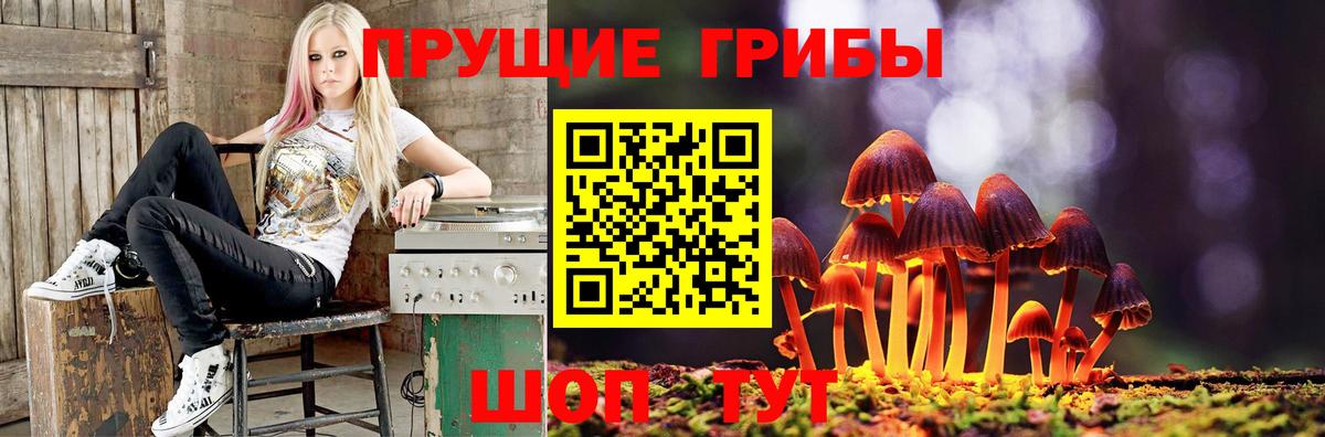 Псилоцибиновые грибы ЛСД Кулебаки