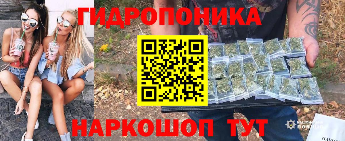 Бошки Шишки Кулебаки